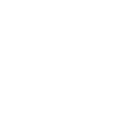 let s look at the statistics